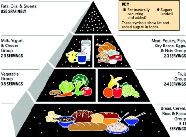 4 Basic Food Groups Chart