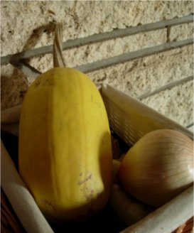 spaghetti squash